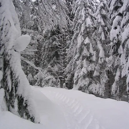 Apartmanovy Dom Spiezovec - Ap. 4 *