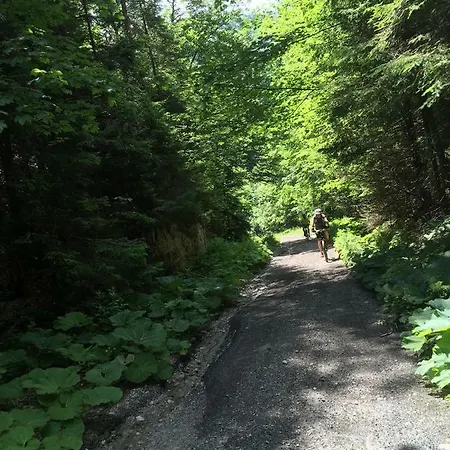 Apartmanovy Dom Spiezovec - Ap. 4 Appartement Donovaly