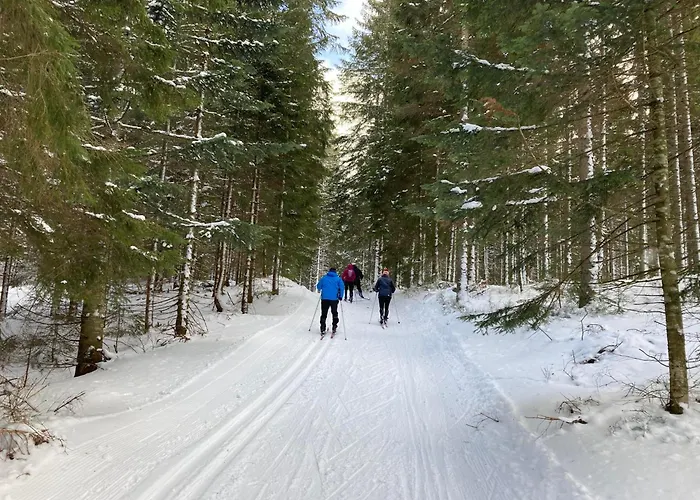 Apartment Apartmanovy Dom Spiezovec - Ap. 4 Donovaly