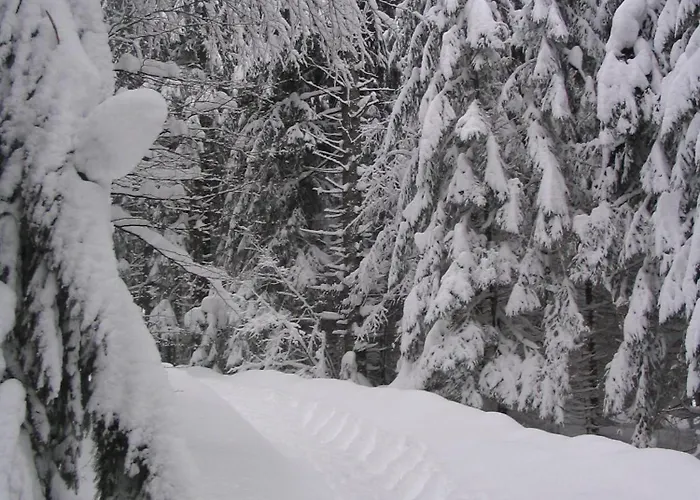 Apartmanovy Dom Spiezovec - Ap. 4 *