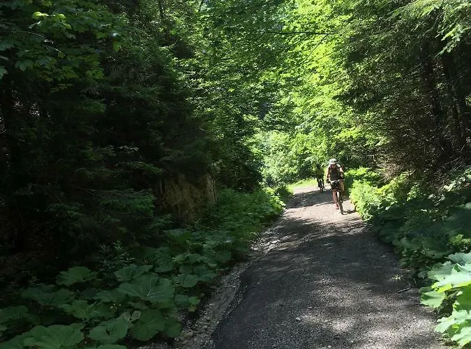 Apartmanovy Dom Spiezovec - Ap. 4 Apartment Donovaly