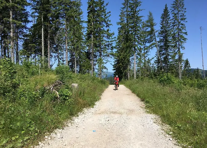 Apartmanovy Dom Spiezovec - Ap. 4 Apartment Donovaly